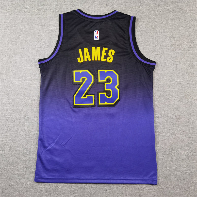 Los Angeles Lakers 23 Purple City Edition Jersey NBA