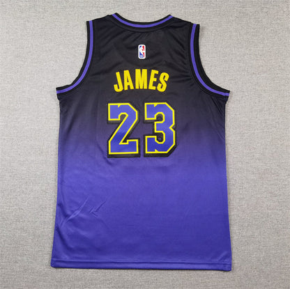 Los Angeles Lakers 23 Purple City Edition Jersey NBA