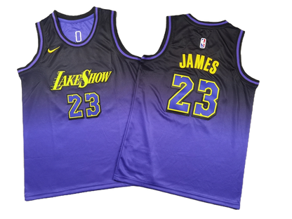 Los Angeles Lakers 23 Purple City Edition Jersey NBA